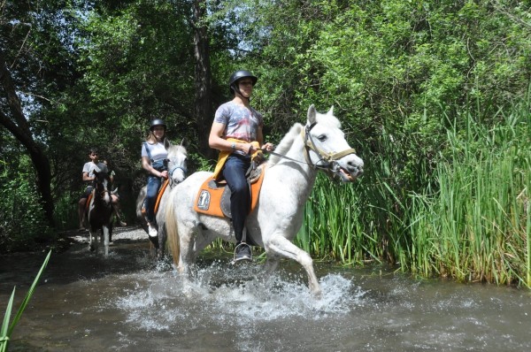 Antalya Horse Safari