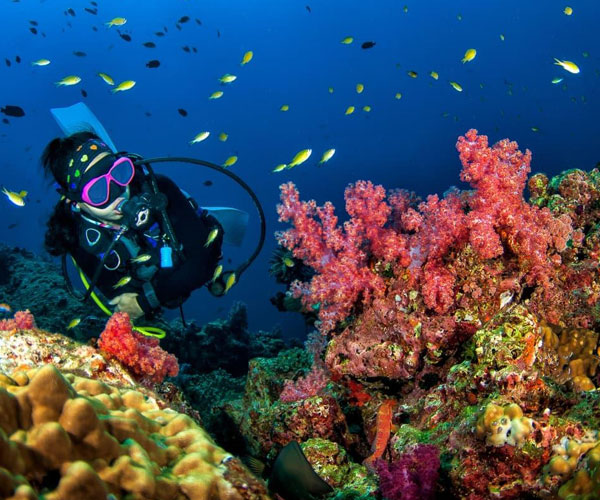 Alanya Scuba Diving