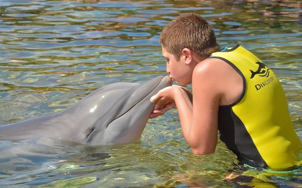 Swimming With Dolphins From Kemer