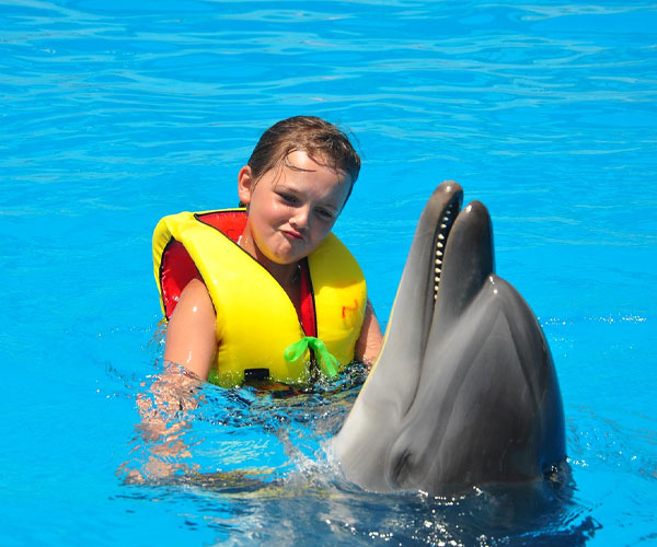 Alanya Swim With Dolphins